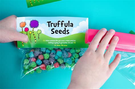 The Lorax Diy Truffula Seed Treat Bag