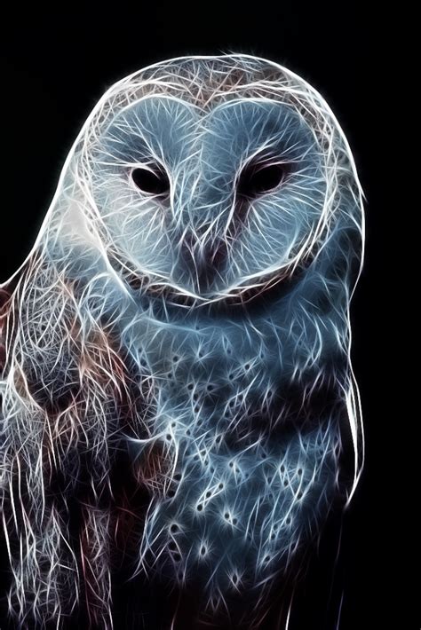 Fractal Owl By Shaylerart Owl Owl Pictures Owl Art