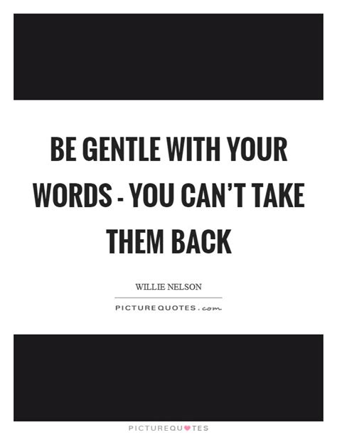 Be Gentle With Your Words You Cant Take Them Back Picture Quotes