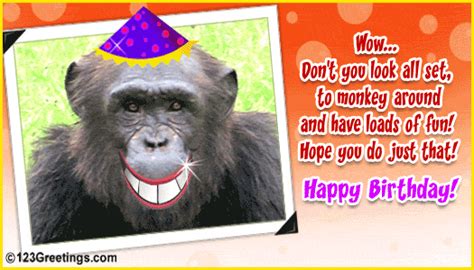 Find over 100+ of the best free birthday images. Funny Birthday Quotes - Birthday