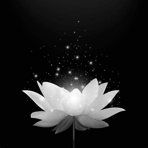 Heartbreaking loss! Tom Riemer Obituary: Fond Remembrance of Tom Riemer