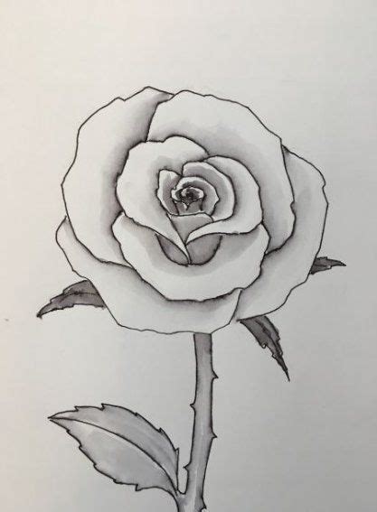 Drawing Rose Step By Step Easy 24 Ideas For 2019 Easy Flower Drawings