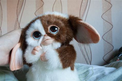 Gizmo Mogwai Gremlins Cute Animals Cute Fantasy Creatures Cute Baby
