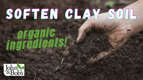 How To Soften Clay Soil Organic Ingredients No Tilling Youtube