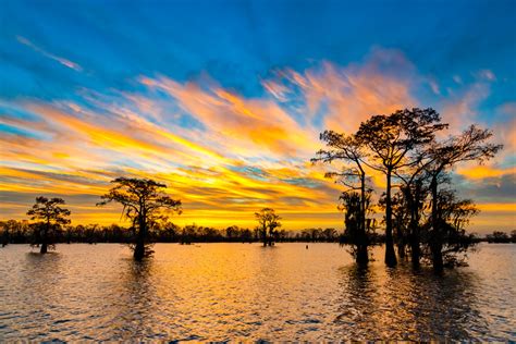 New Year Rising Louisiana Swamp Sunrise Photography Prints