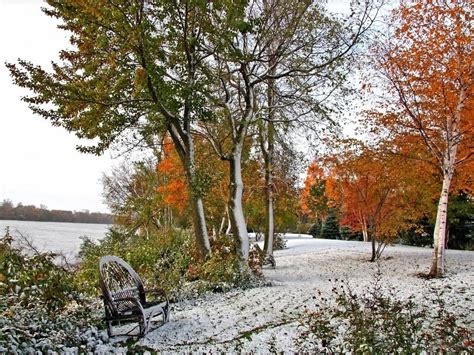 Early Autumn Snow In Time Wallpaper Nature And Landscape
