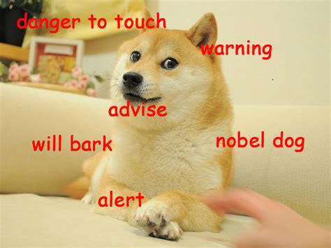 39 Very Funny Doge Meme Graphics Images S And Photos Picsmine