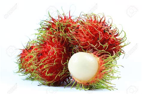 Rambutan merah dan kuning kartun. Macam-Macam Buah Tropis dan Manfaatnya Untuk Kesehatan ...