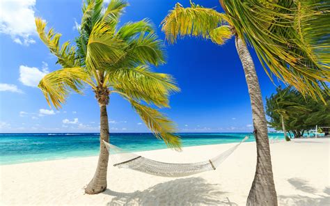 Wallpaper Tropical, paradise, sea, beach, palm trees, hammock, summer ...