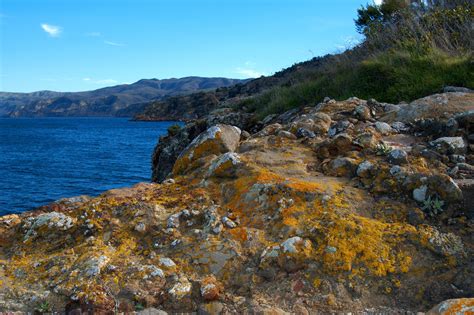 Shoreline And Landscape Of Santa Cruz Island In Channel Islands