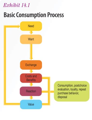 Chapter 14 Consumption To Satisfaction Flashcards Quizlet