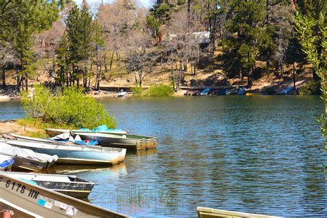 4 seasons, beautiful winter snow, cabin rentals and excellent everything you need for green valley lake trout, bass and crappie fishing. Time to play at the lake! at the Get Lost Inn rental cabin ...