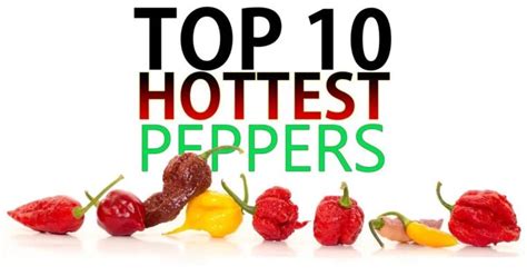 top 10 world s hottest peppers