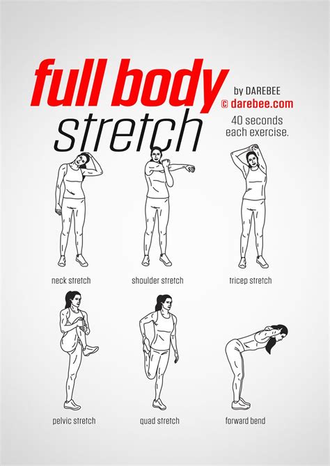 Full Body Stretch Fitness Workouts Easy Yoga Workouts Gym Workout For Beginners Gym Workout
