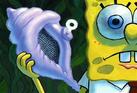 Oh Magic Conch Shell What Do We Need To Do To Get Out Of The Kelp