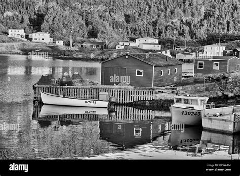 Coastal Fishing Village Salvage Newfoundland And Labrador Canada Stock