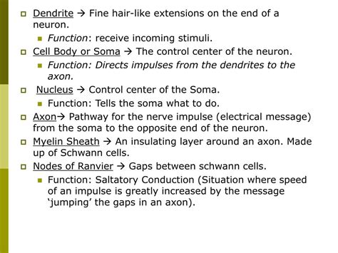 Bio neuron function pogil answer key related files PPT - Biology 3201 PowerPoint Presentation, free download ...