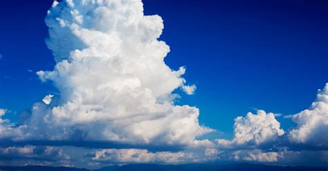 Unduh stok foto cumulus di stok agen fotografi terbaik dengan jutaan stok foto, gambar dan lukisan premium berkualitas tinggi bebas royalti dengan harga yang wajar. Terkeren 24+ Gambar Awan Dan Burung - Richa Gambar