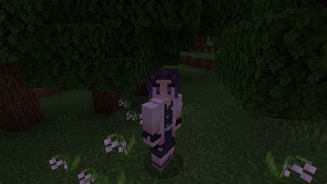 In this pack there only are giyu tomioka, shinobu kocho, mitsuri kanroji, kyojuro rengoku, sanemi shinazugawa and lastly tengen uzui. Kimetsu No Yaiba Skin Pack | Minecraft Skin Packs