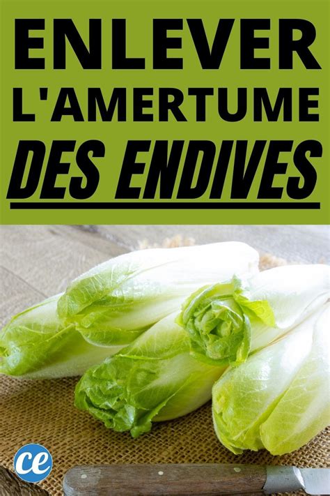 Endives Trop Amères Le Truc Simplissime Pour Enlever lAmertume