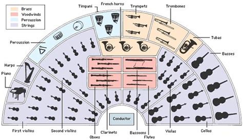 Seating Plan Of An Orchestra Reason Music Music Class Music Lessons