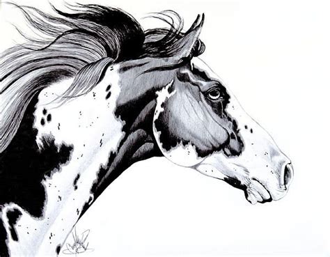 Don't make your mustang all flabby with no sense of realism. Overo Paint Horse by Cheryl Poland | Horse head drawing ...