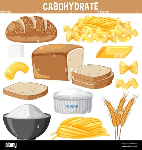 Variety Of Carbohydrates Foods Illustration Stock Vector Image Art