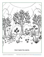 Beginning god created coloring pages. God Made the Plants Coloring Page