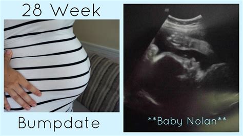 28 week pregnancy update youtube