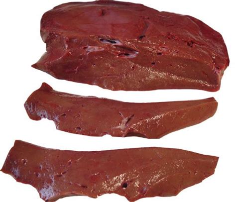 We did not find results for: Kumpulan Makanan Tinggi Protein