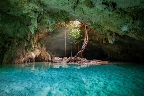 Best Cenotes to Visit in Riviera Maya