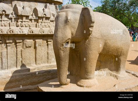Elephant Statue At Five Rathas In Mamallapuram South India Stock Photo