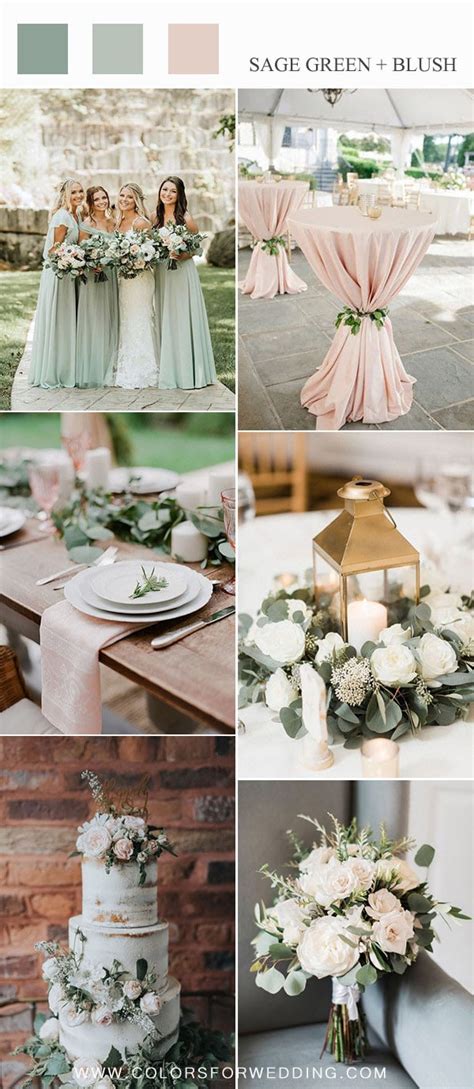20 Sage Green And Blush Wedding Colors And Ideas 2024 Cfc