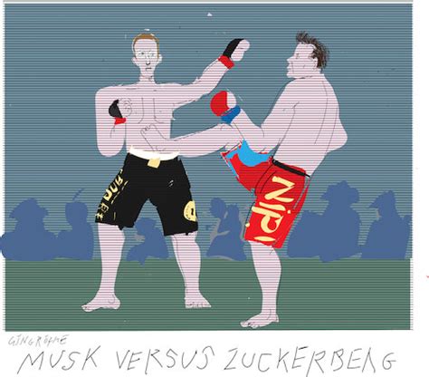 Cage Fight By Gungor Media Culture Cartoon Toonpool
