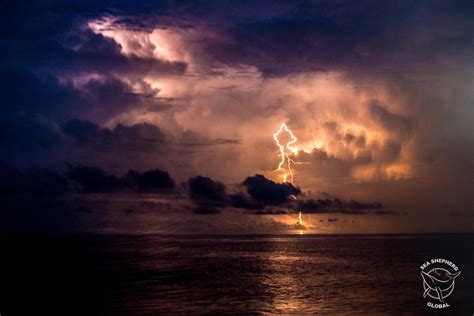 Lightning Storm Over The Ocean Seashepherd Ocean Storm Lightning