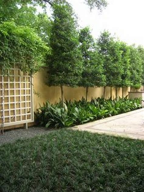 65 Ideas For Backyard Trees Along Fence 3 In 2020 Privacy Landscaping