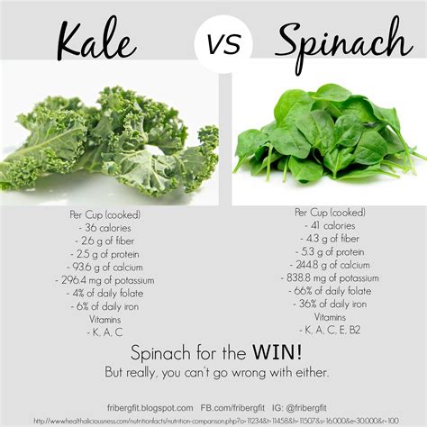 Kale Vs Spinach Which Is Better Fribergfit Kale Spinach