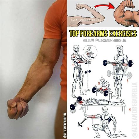 Do The Forearms Exercises As Shown In The Picture For The Most