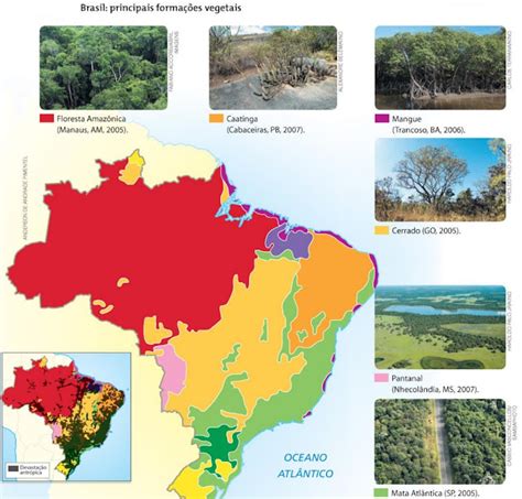 Geografalando Aula Vegetação Brasileira