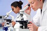 Who Works In A Medical Laboratory Photos