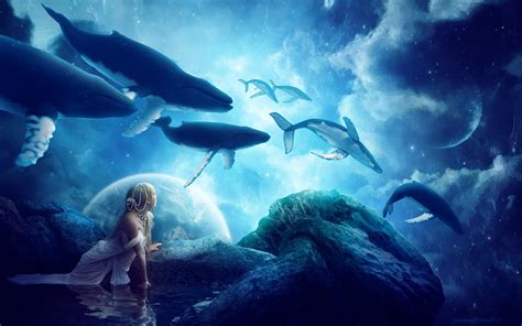 Whales Dream Hd Digital Universe 4k Wallpapers Images Backgrounds