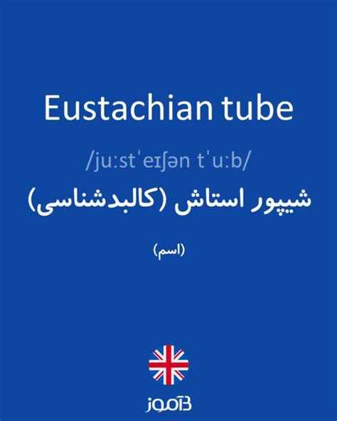 ترجمه کلمه Eustachian Tube به فارسی دیکشنری انگلیسی بیاموز