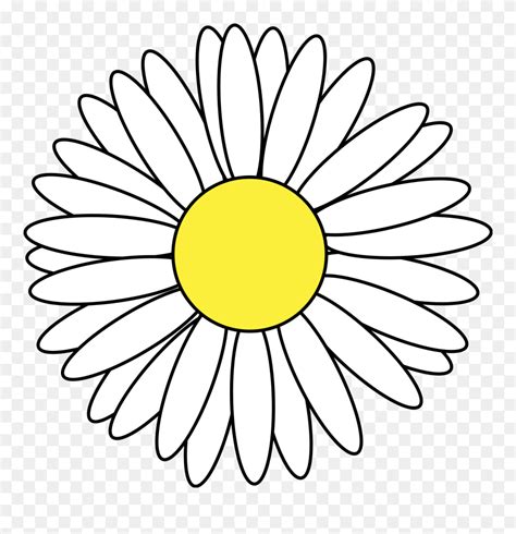 Svg Silhouette Daisy Daisy Flower Drawing Png Clipart My XXX Hot Girl