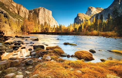 Half Dome Village Hotel Review Yosemite National Park Travel