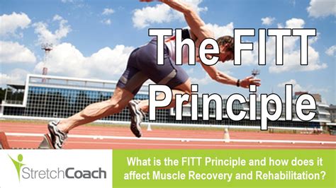 Fitt Principle For Cardio Strength Stretching And Injuries