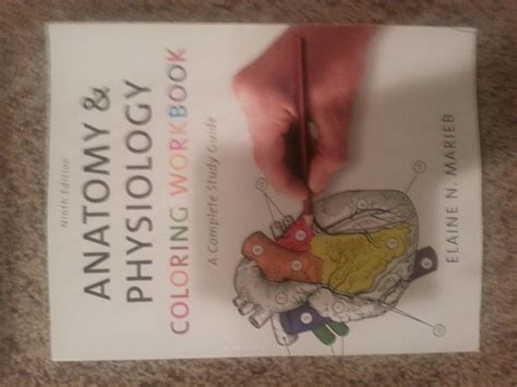 Amazon.com: Anatomy & Physiology Coloring Workbook: A Complete Study