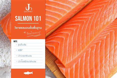 J the series : Salmon101 วิชาแซลมอนขั้นพื้นฐานที่คนไทยควรรู้
