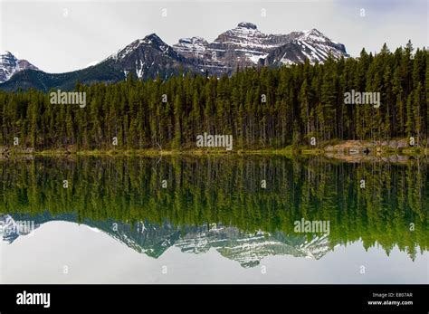Herbert Lake Icefields Parkway Banff Alberta Canada Stock Photo Alamy