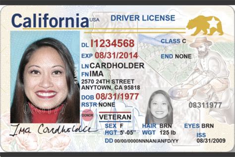 California Dmv Drivers License Template Photoshop Nelopolitical