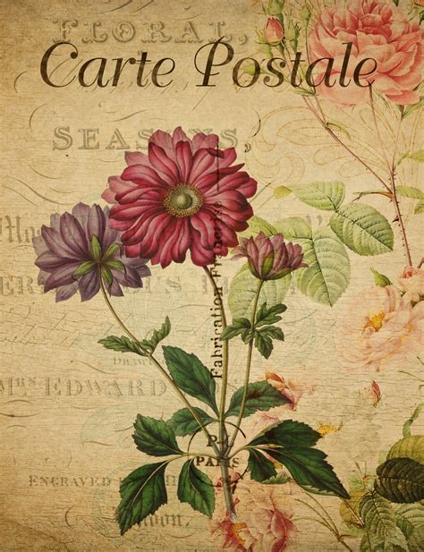 Flowers Vintage French Postcard Free Stock Photo Public Domain Pictures